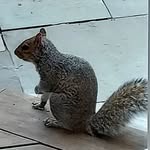 Derek Loehner - @derek_monkey122 - Instagram