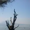 Derek Monti - @derekmonti - TikTok