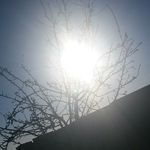 Derek Moody - @blazerodo - Instagram