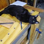 Derek Morey - @moreywoodwork - Instagram