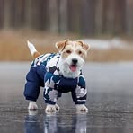 Derek Moskow - Facebook
