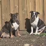 Derek Muir - @dtrain5647 - Instagram