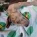 Derek Mummel - Facebook