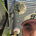 Derek Munoz - @_dkmz - Instagram