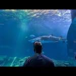 Derek Murdock - @derekmurdock32 - Instagram