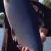 Derek Murphree - Facebook