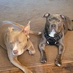 Derek Musser - Facebook