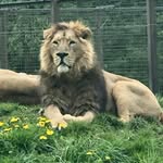 Derek Musto - @derekhughmusto - Instagram