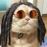 Derek Nations - @islandvibenations - Instagram