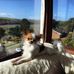 Derek Naylor - Facebook