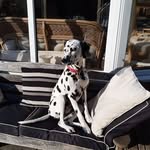 Janet Needham - @derek.needham.18 - Instagram