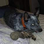 Derek Neeley - @d44647340 - Instagram