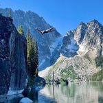 Derek Nelson - @derek_nelson2 - Instagram