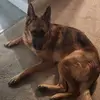 Derek.Nelson - @derek.nelson85 - TikTok
