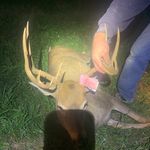Derek Nickelson - @dereknickelson - Instagram