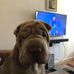 Derek Oakley - Facebook