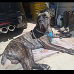 Derek Odell - Facebook
