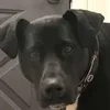 Derek Parks - @2184965698 - TikTok
