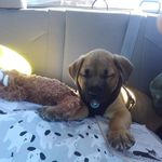 Derek Peebles - @datboi_derk051205 - Instagram