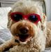 Derek Pennington - Facebook