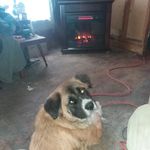 Derek Pennington - @derek.pennington.52090 - Instagram