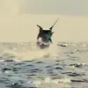 Derek Petersen - @derek.petersen3 - TikTok