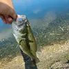 Derek_P;) - @derek_pizzi03 - TikTok