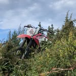 Derek Plante - @derekplante3 - Instagram