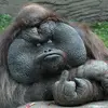 Dérek Plante - @drek.plante - TikTok