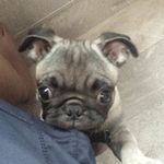 Derek Poe - @derek.poe.96 - Instagram