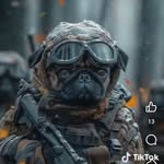 Derek Poe - @derekpoe916 - Instagram