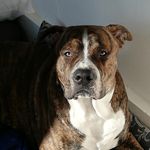 Derek Potts - @potts1780 - Instagram