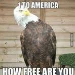 Derrick Priester - Facebook