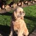 Derek Pritchard - Facebook
