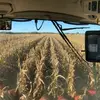 derekprough - @rifarms16 - TikTok