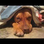 Derek Quesenberry - @quesendm - Instagram