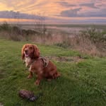 Derek Raby - @miller11a - Instagram
