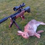 Derek Brace - @brace.derek - Instagram