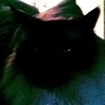 @derekracer47 - Instagram