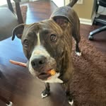 Derek - @derek.ragan - Instagram