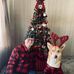 Dereck Randolph - Facebook