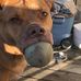 DeVante Rappaport - Facebook