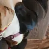 derekrauschendor4 - @derekrauschendor4 - TikTok