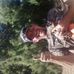 Derek Rawls - Facebook