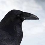 Derek Read - @vancouverizer - Instagram