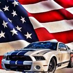 Derek Read - @shelby_4500 - Instagram