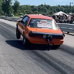 Fast Fox - @derek.reaman - Instagram