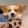 DerekRedditStories - @derekredditstorie - TikTok