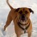 Derek Reilly - Facebook