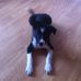Derek Reilly - Facebook